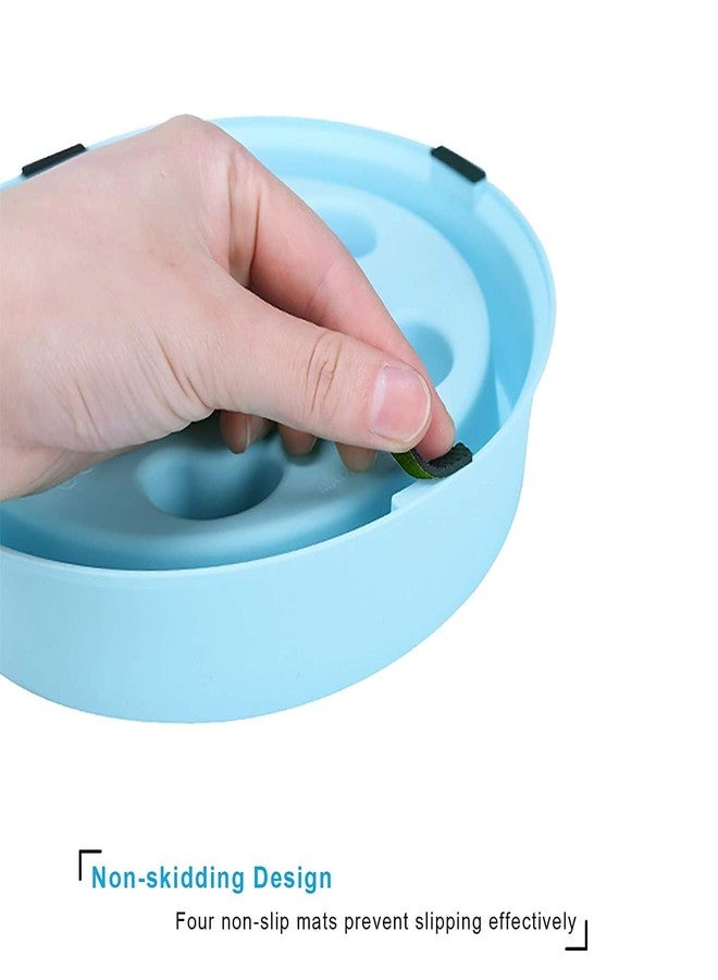 WISHBONE Slow Feeder Anti-Skid Bowl for Dogs & Cats (Blue) - Image 3